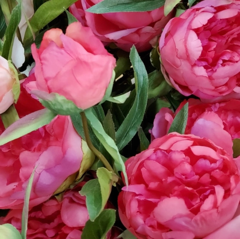 トキメキカラー😍✨小田急店から販売スタート☺︎