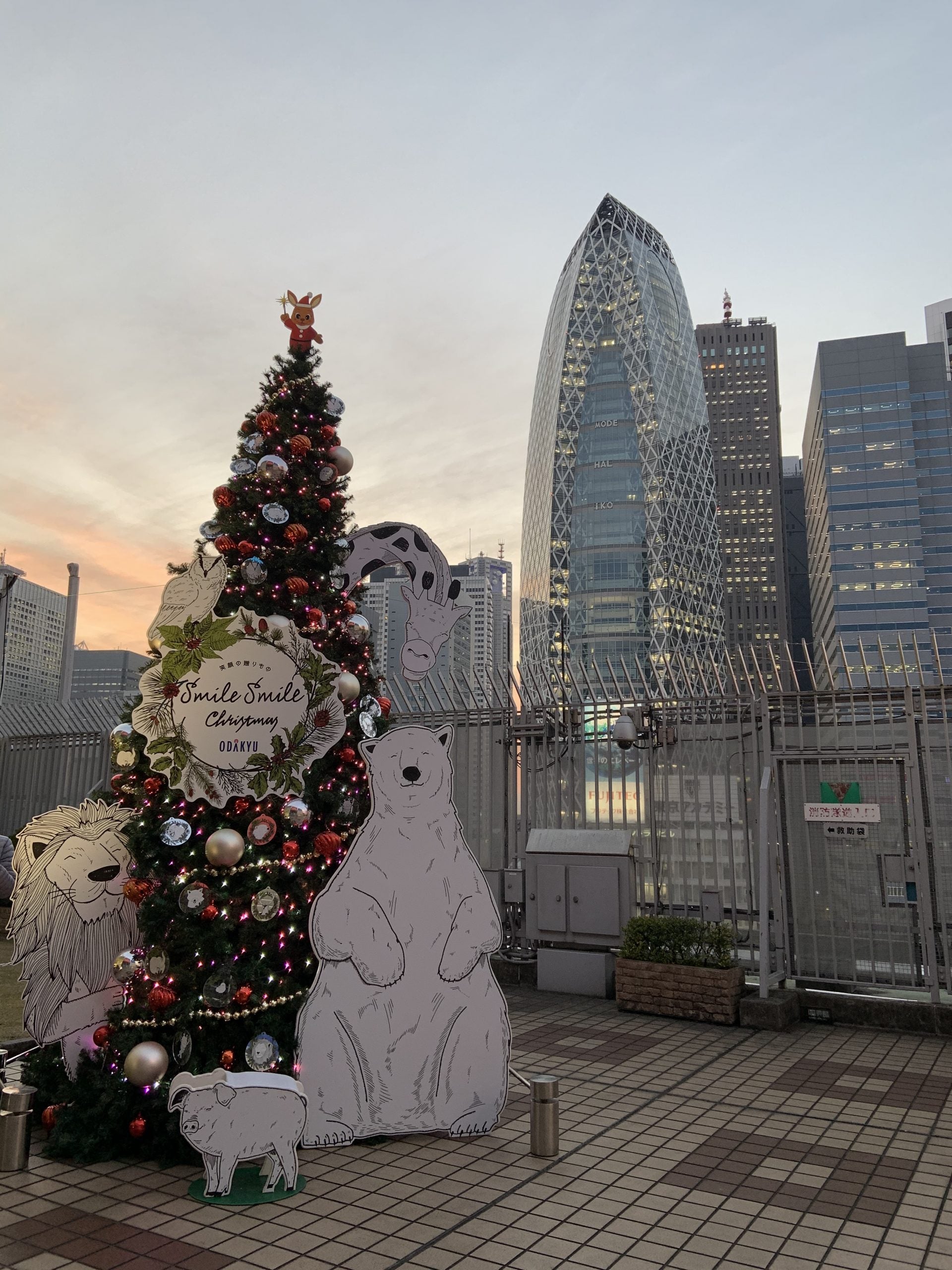 Smile Smile Christmas☺︎✨