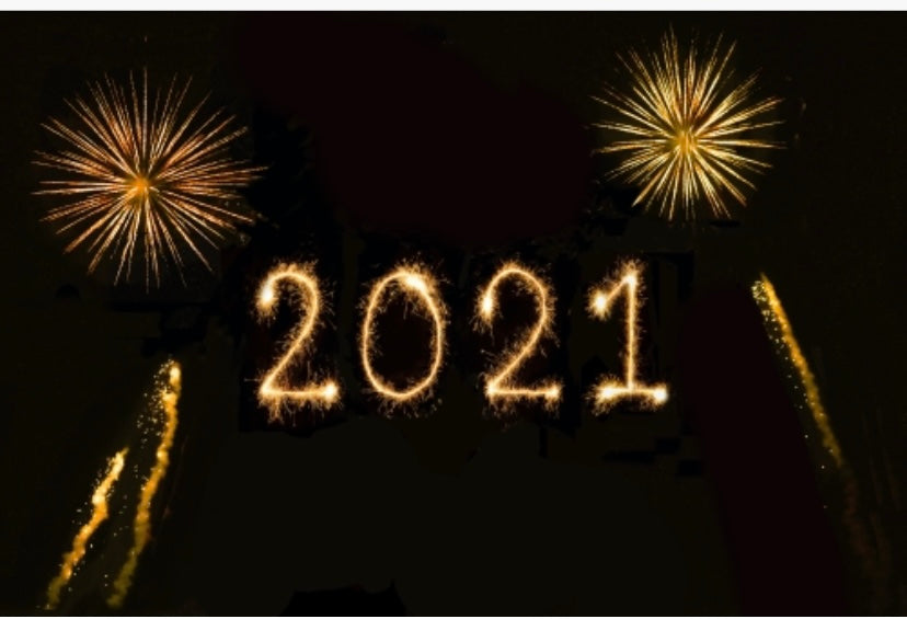 今年の干支は辛丑(かのとうし)🐄✨