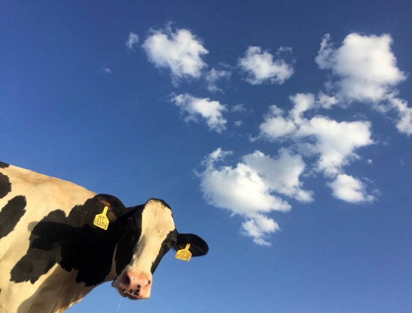 今年最後の月曜ブログ☺︎