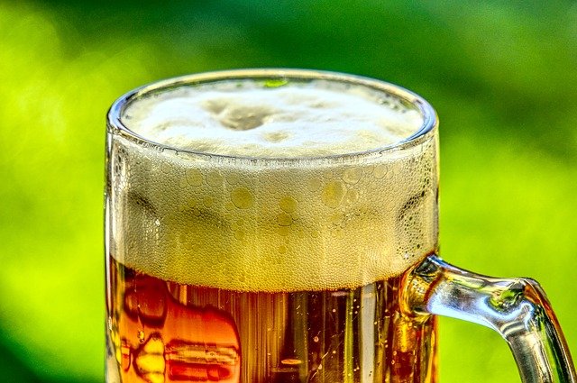 金曜日のネコとビールのおいしい注ぎ方