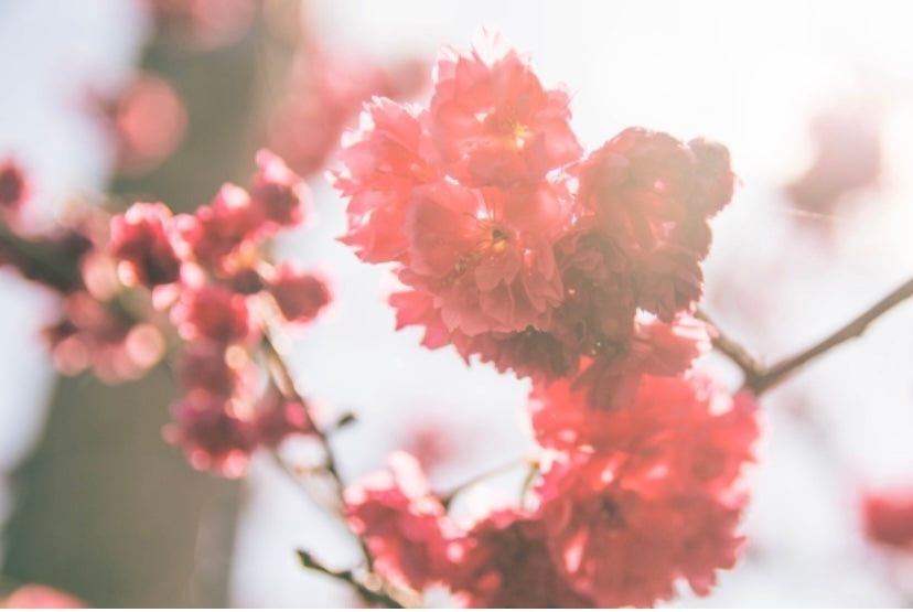 サロンドアルファード池袋店☺︎