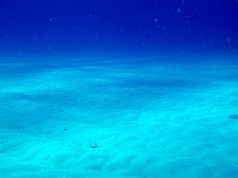 もしもサロアルが沖縄のご当地レザーバッグを作ったら?追伸:冬の沖縄がおすすめな件