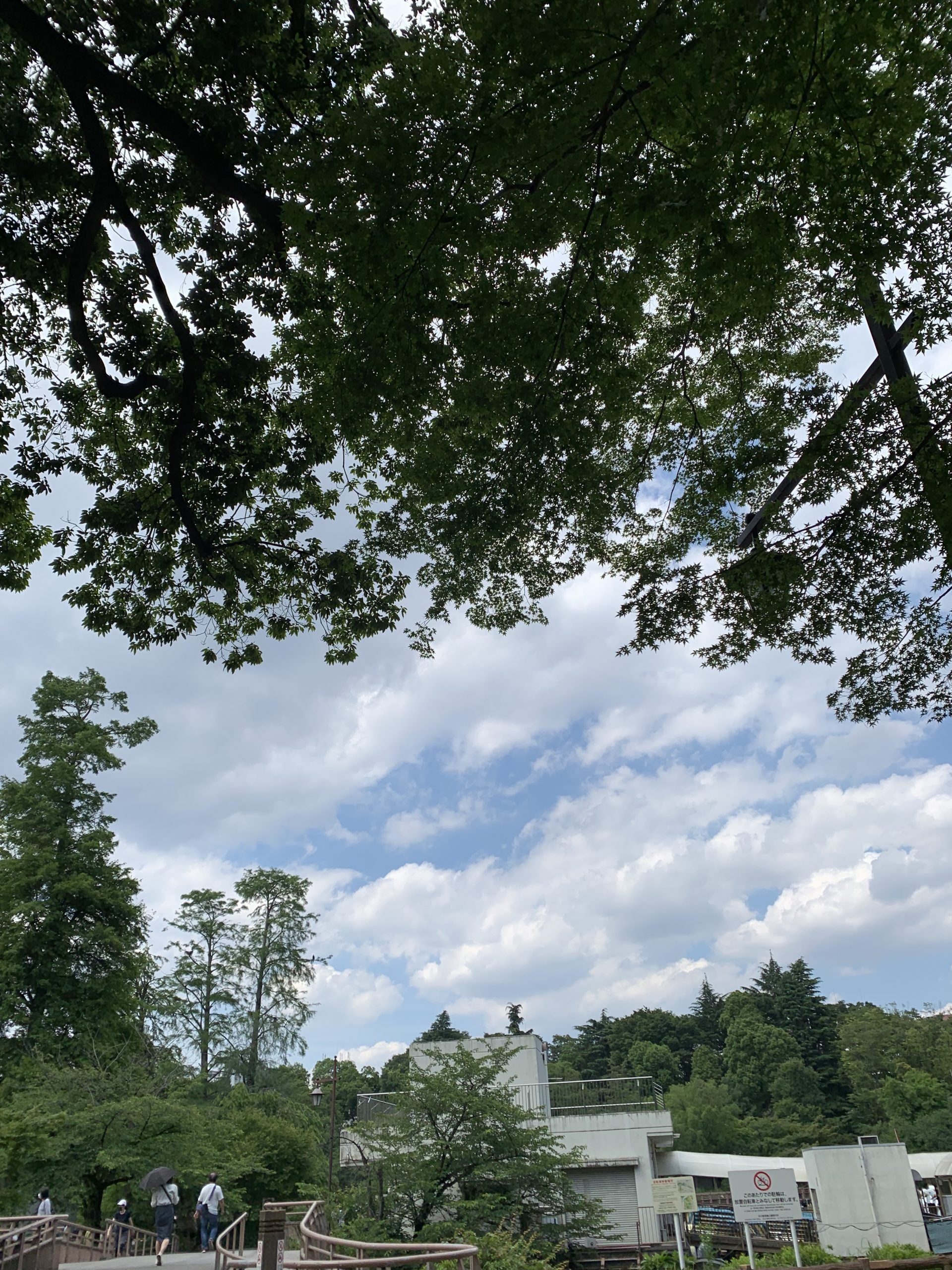 【池袋店SAKAIのゆるりTOKYO通信】おひとり様公園散歩でリフレッシュ🍃