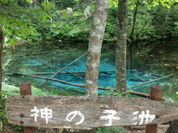 【わたしの極上♡札幌ライフ】北海道のパワースポット 神の子池の美しさ［摩周湖周辺］