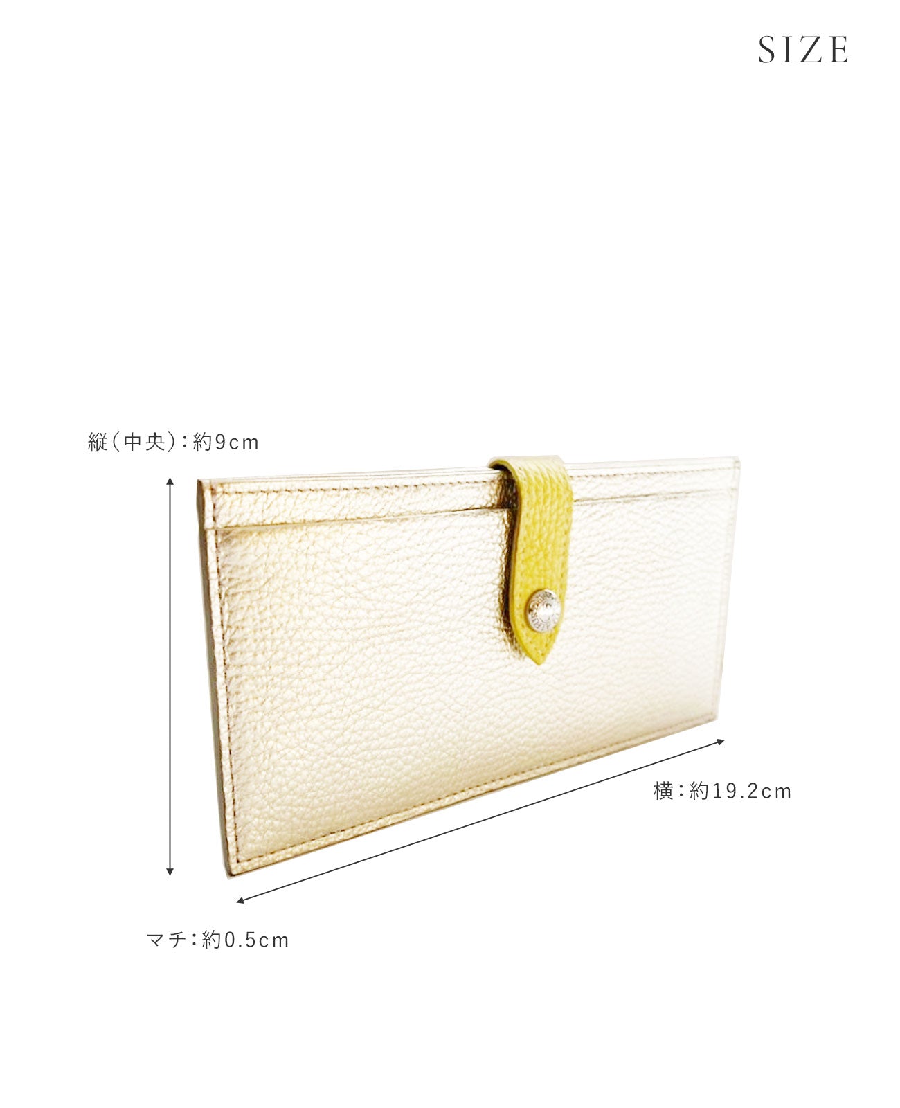 フラグメントケース　SIZE