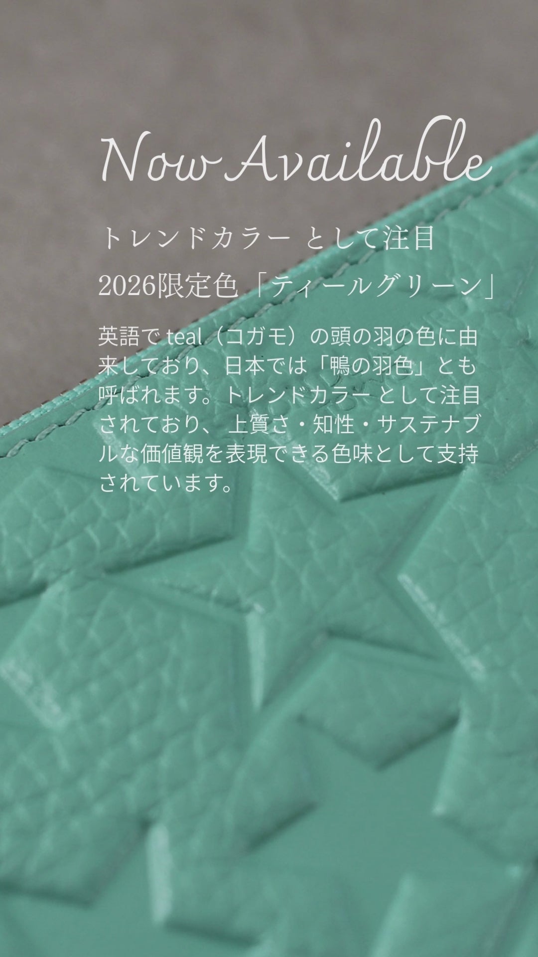 オンラインストア限定｜スター L字ミニ財布 1982