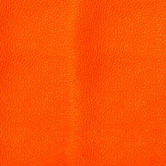 カラー: バレンシアオレンジ